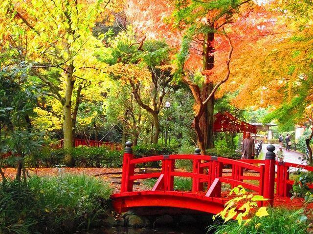 Hakone Pacific 호텔 외부 사진