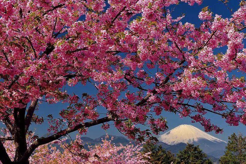 Hakone Pacific 호텔 외부 사진