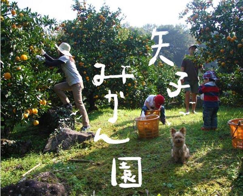 Hakone Pacific 호텔 외부 사진