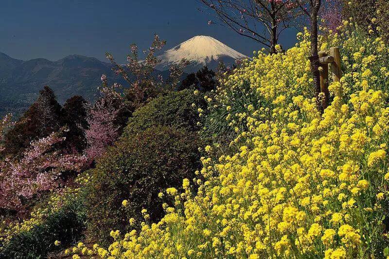 Hakone Pacific 호텔 외부 사진
