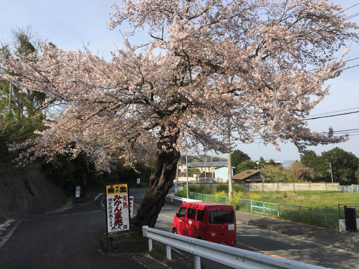 Hakone Pacific 호텔 외부 사진