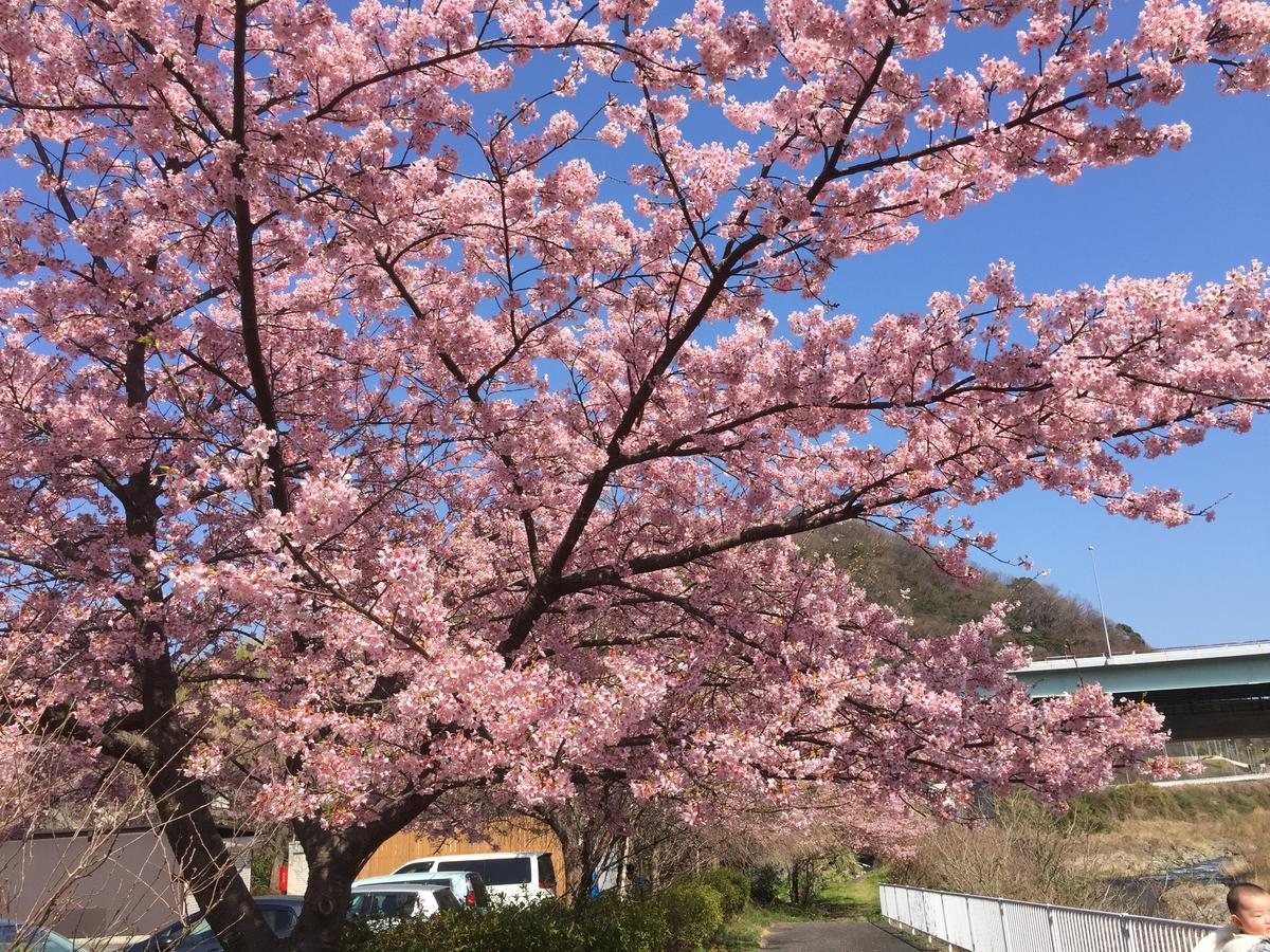 Hakone Pacific 호텔 외부 사진