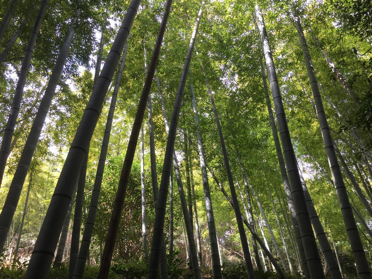 Hakone Pacific 호텔 외부 사진