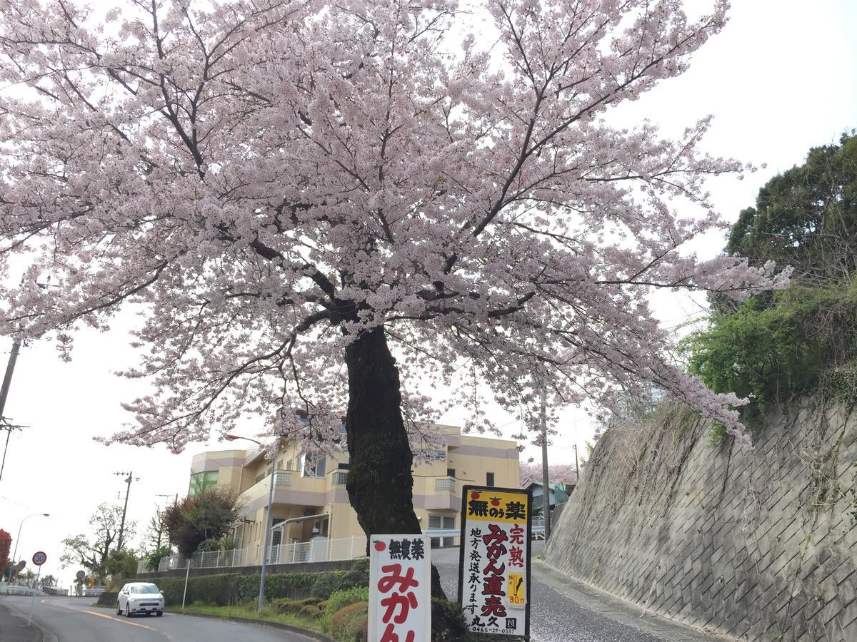 Hakone Pacific 호텔 외부 사진