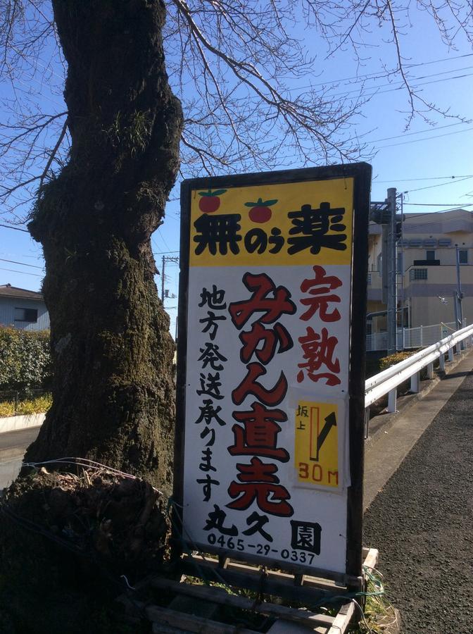 Hakone Pacific 호텔 외부 사진